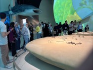 Discover Qatar in 144 hours” Program