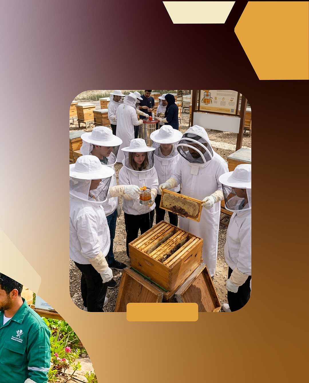 Honeybee Project